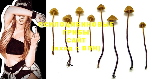 винт Сатка